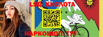 шишки Конаково