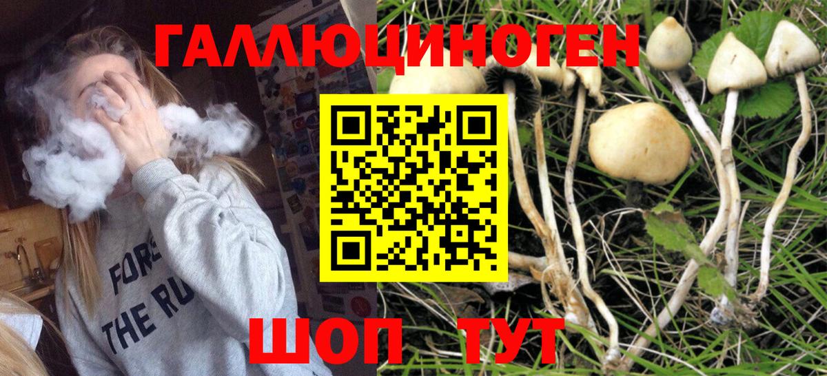 Псилоцибиновые грибы GOLDEN TEACHER Заринск
