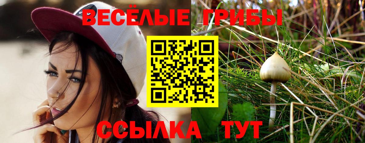 Заринск  Псилоцибиновые грибы GOLDEN TEACHER  Псилоцибиновые грибы GOLDEN TEACHER  Вход с VPN 